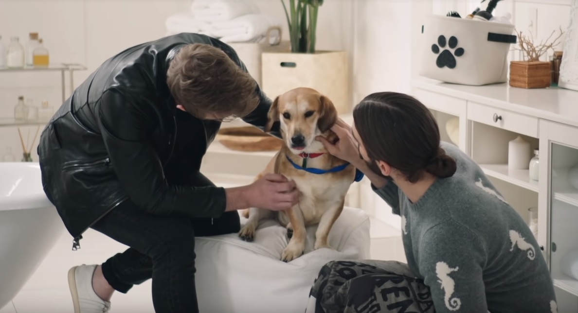 Queer Eye's Fab Five make over a rescue shelter puppy, and it's emotional