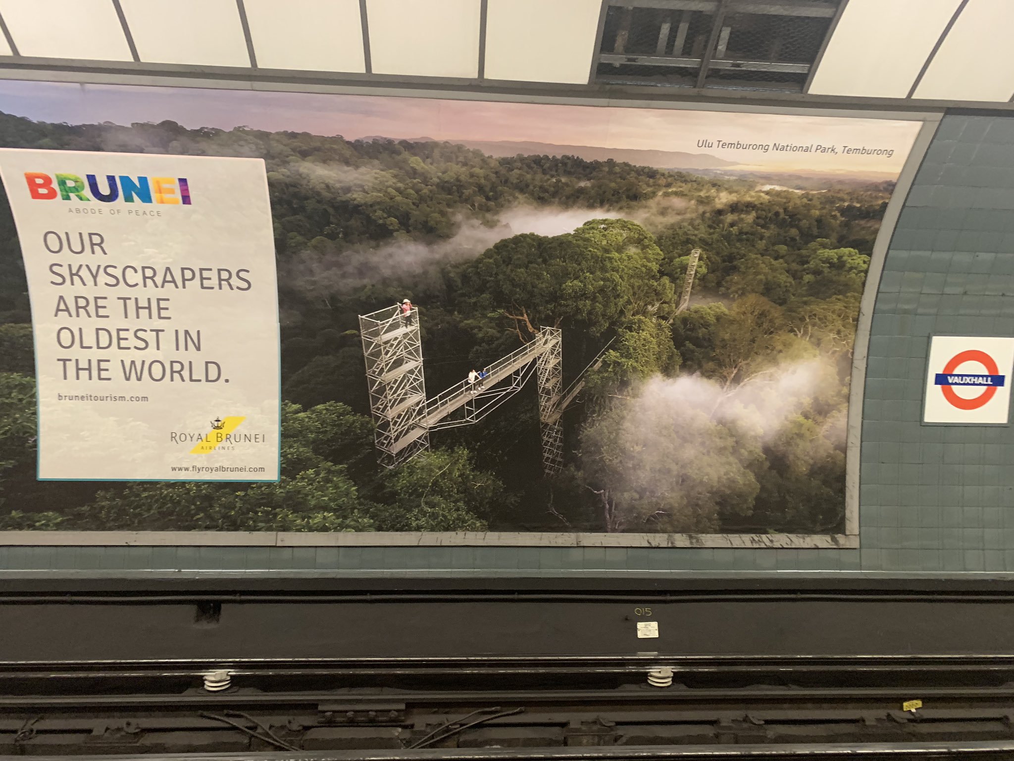 TfL bans adverts from countries with gay death penalty