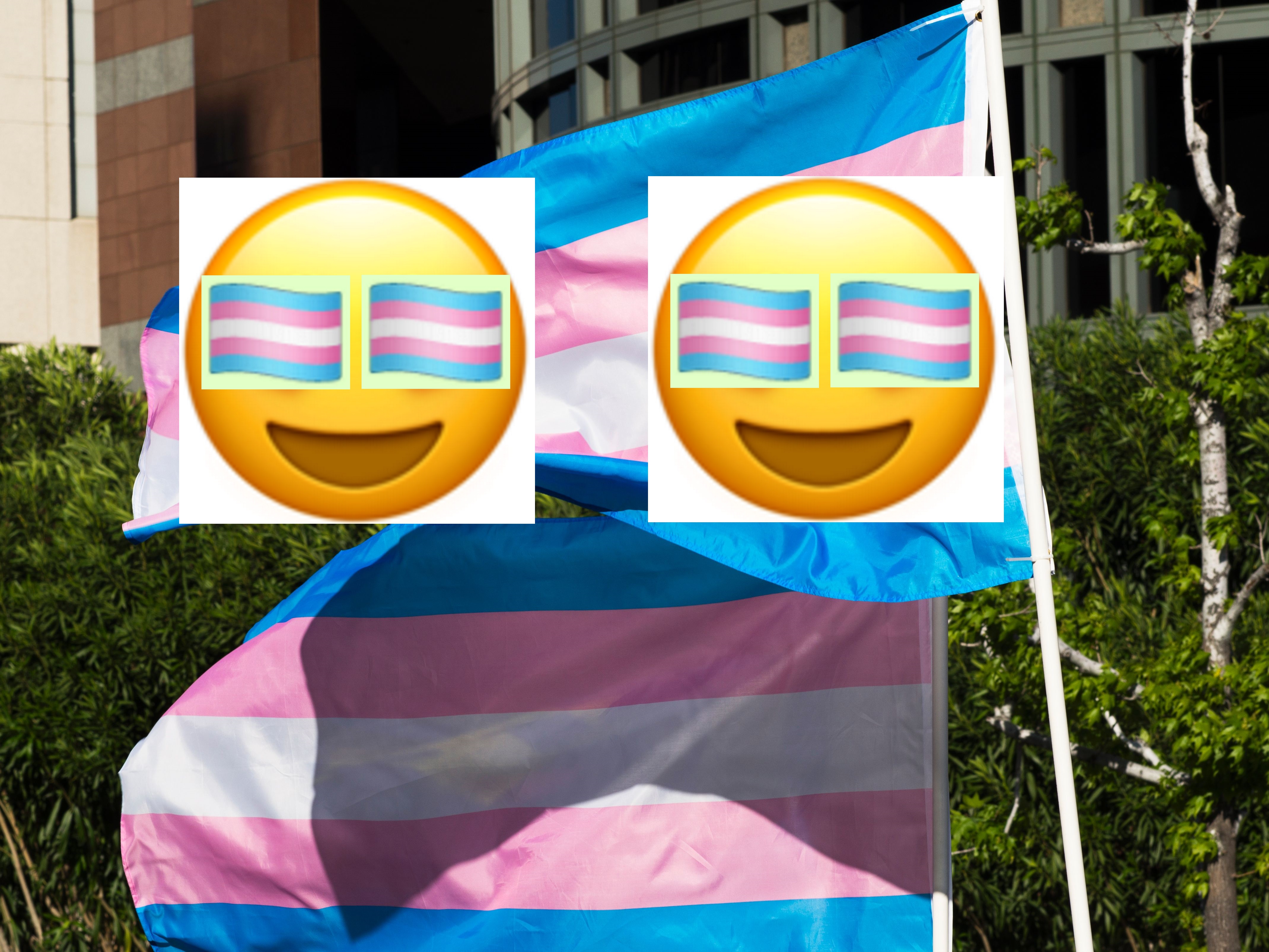 Trans Pride flag emoji finally rolled out to iPhone after years of tireless campaigning. Here's how to get it
