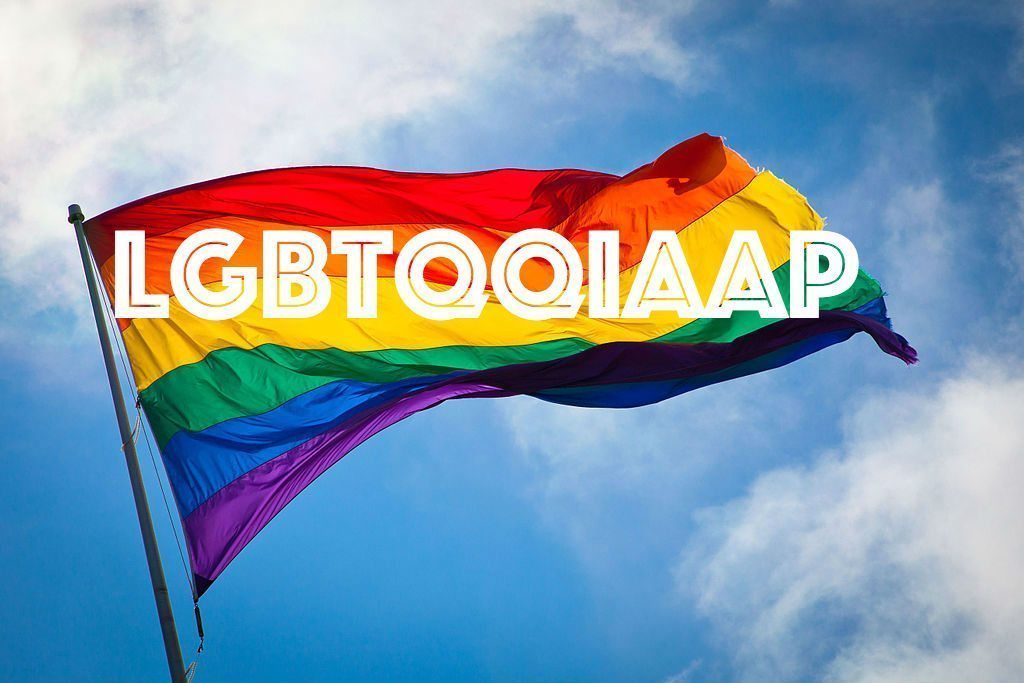 How has the LGBT+ acronym evolved?