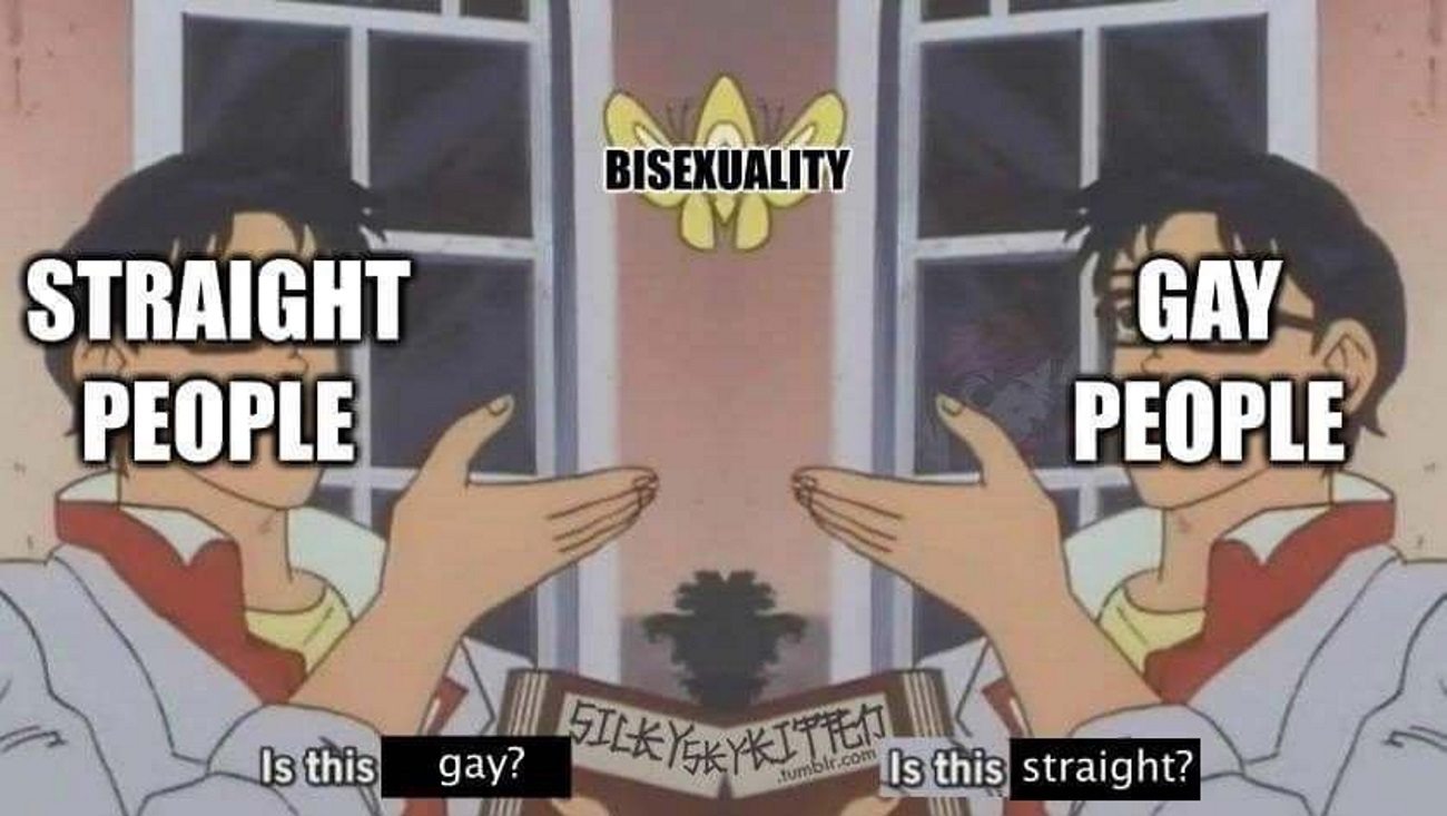 This viral bisexual meme is painfully true