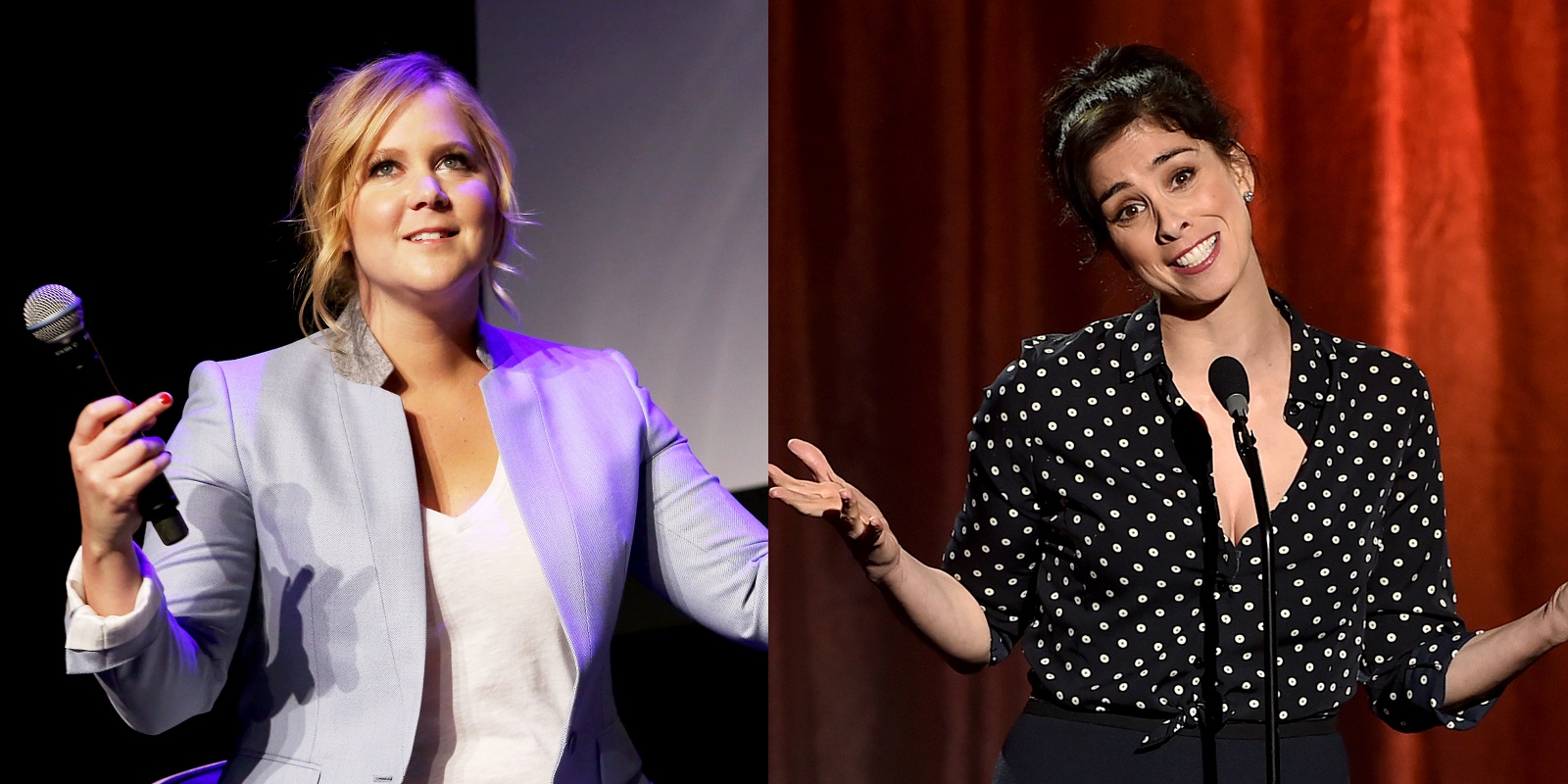Amy Schumer, Chelsea Handler, Sarah Silverman 'faggot' tweets resurface