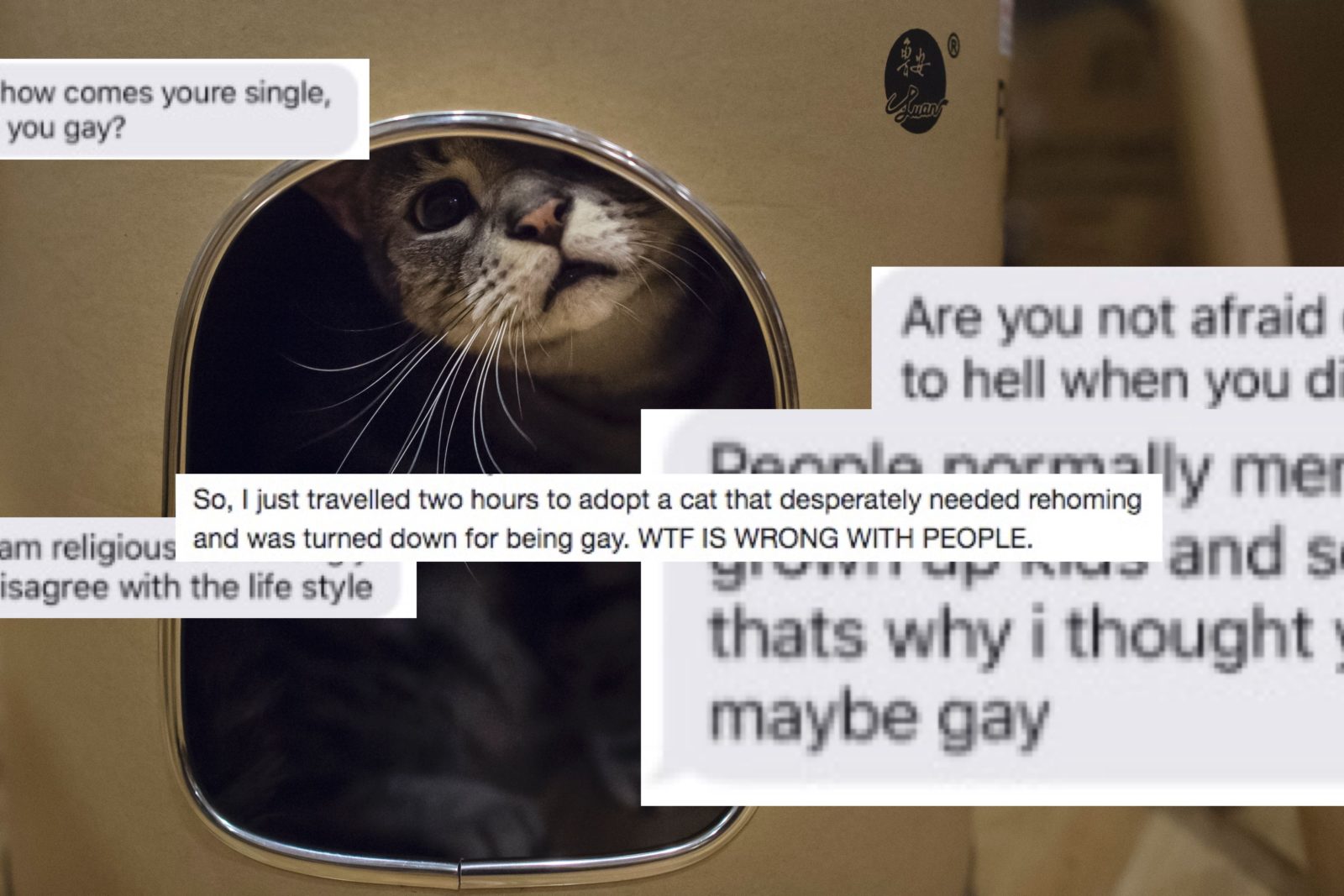 A man has been turned down for adopting a cat because he is gay
