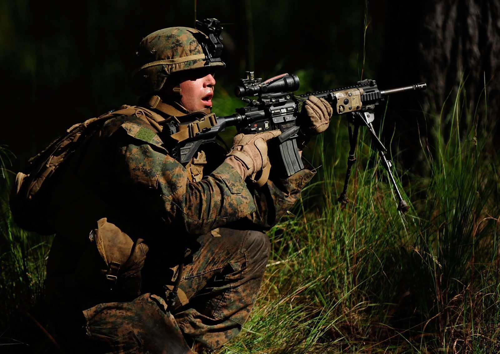 Activists funded ads on Fox News pressuring President Trump to let trans troops serve