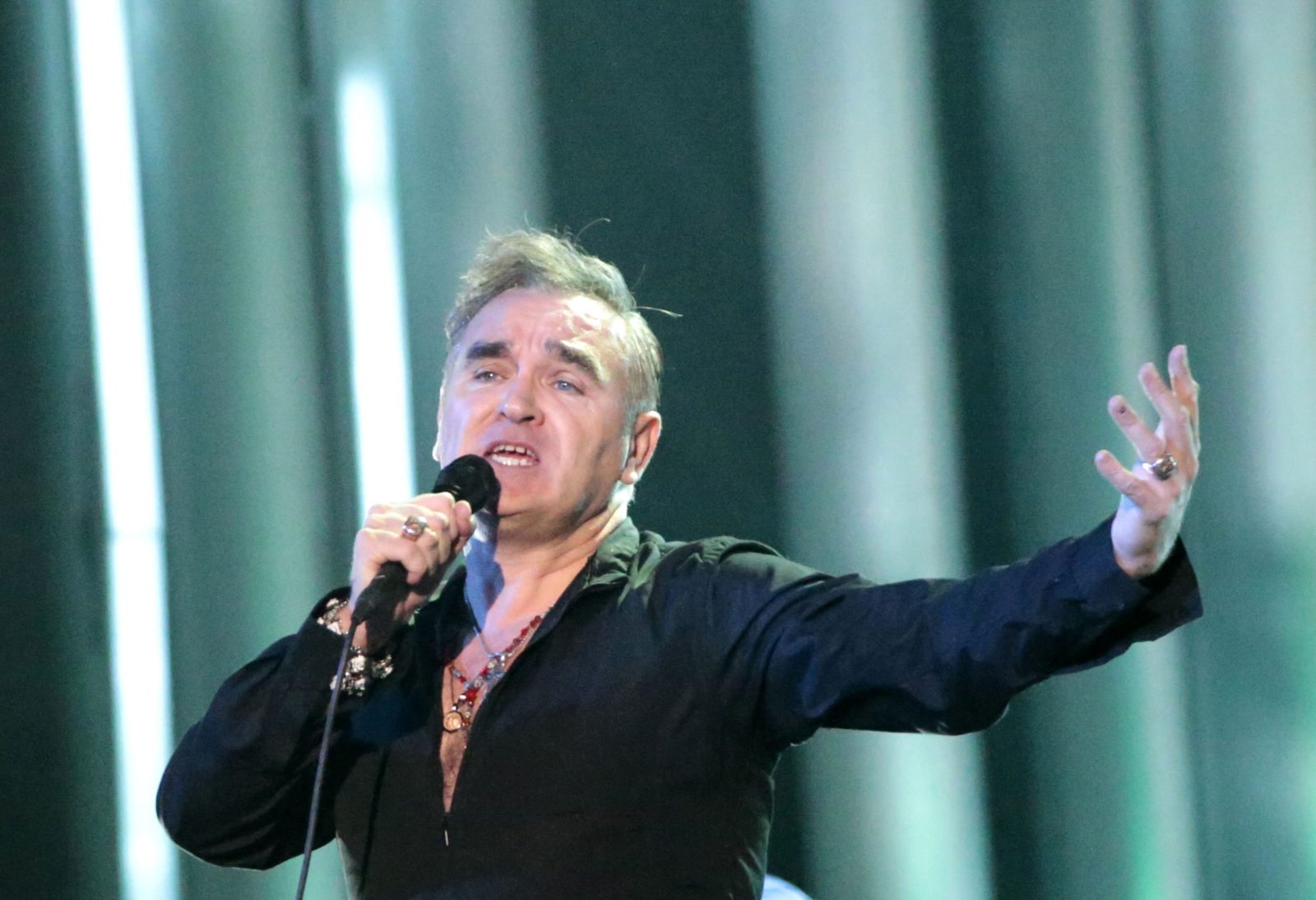 Morrissey backs controversial far-right party For Britain and claims Hitler 'was left wing'