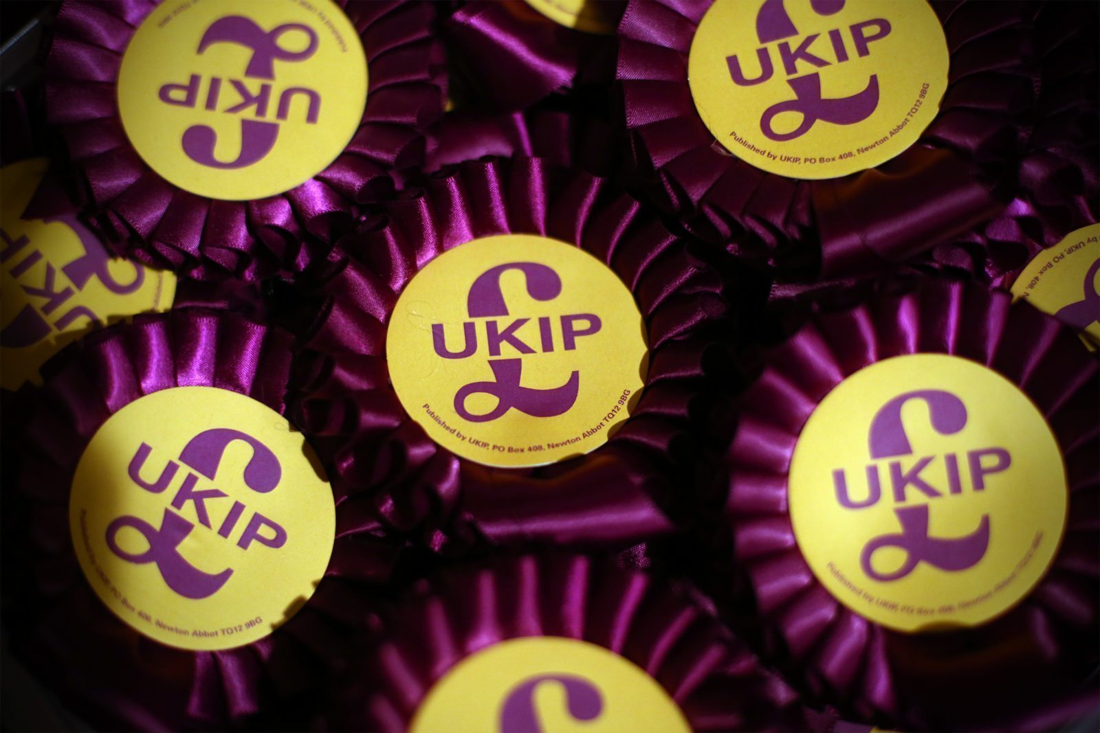 UKIP MEP says homophobic, anti-Islam extremists have hijacked party