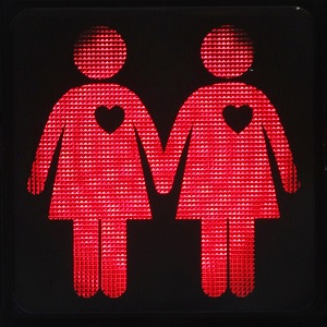 Same-sex couple traffic lights taken down by far-right party