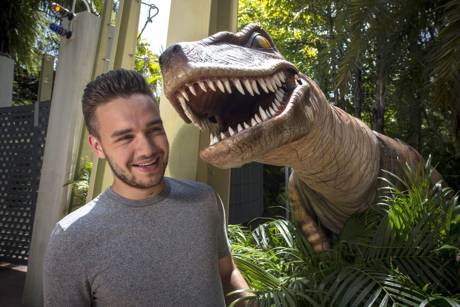 Liam Payne posts passionate defence of LGBT people after Donald Trump transgender ban