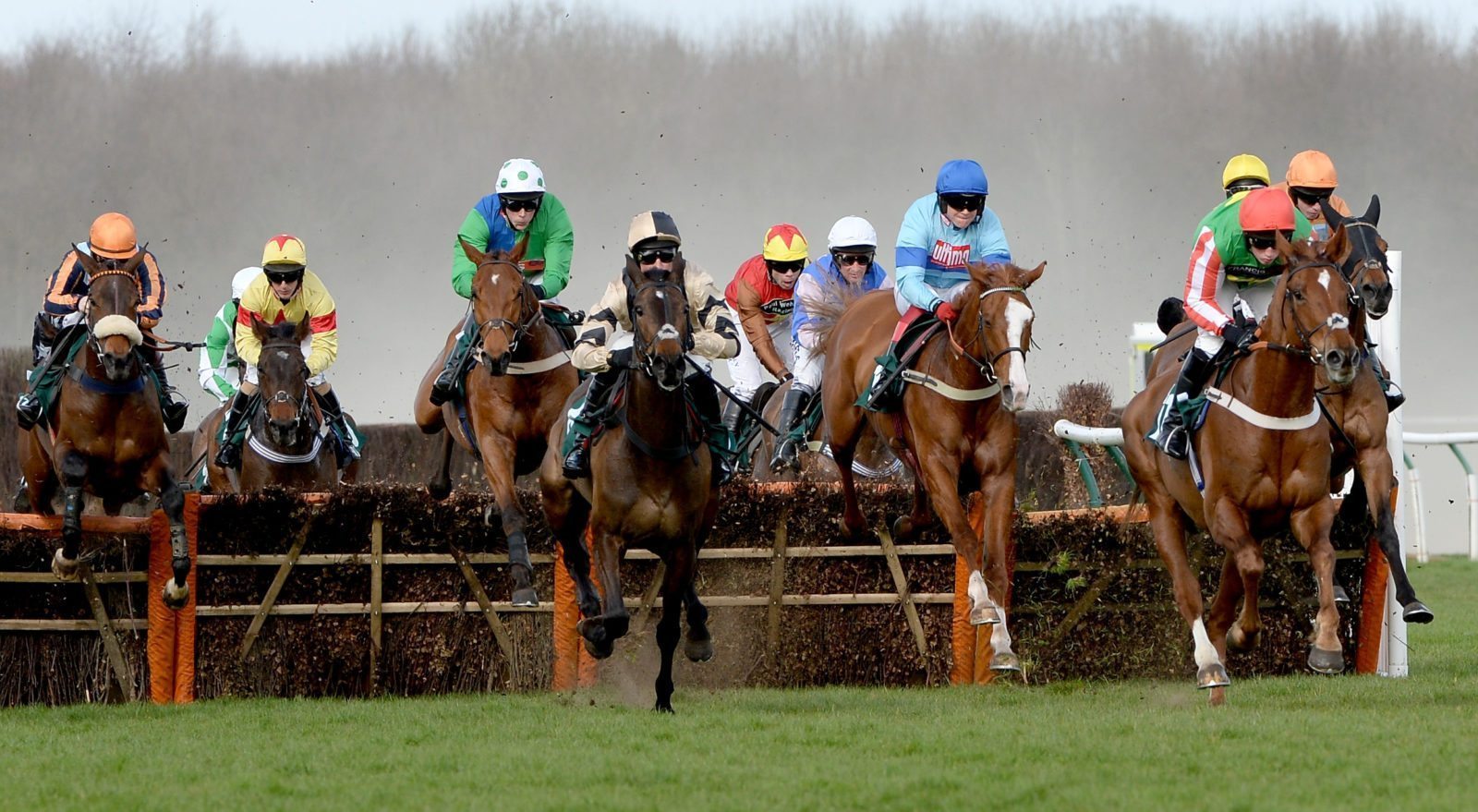 Transgender horse jockey Victoria Smith competes for first time since transitioning to female