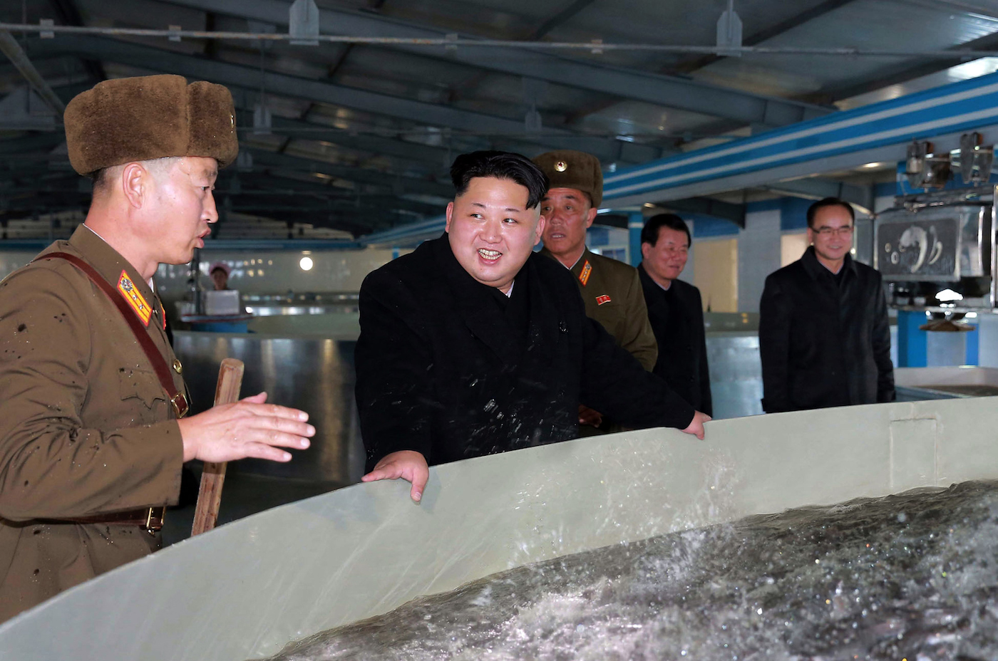 As well as AIDS, North Korea now claims to have cured hangovers...