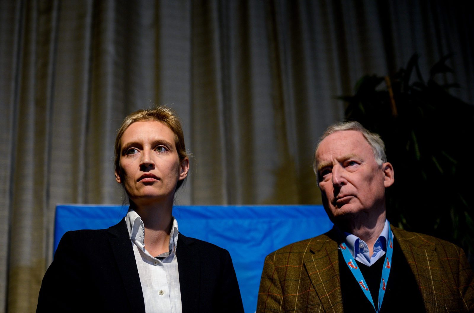 Germany's far-right planning legal challenge to halt equal marriage