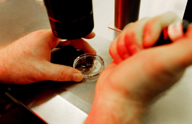 Could this be the first state to allow equal IVF treatment for gay couples?