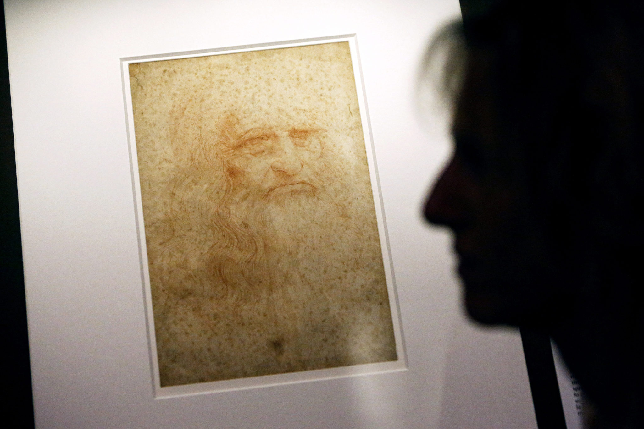 Leonardo da Vinci will be 'gay, vegetarian and left-handed' in new TV drama
