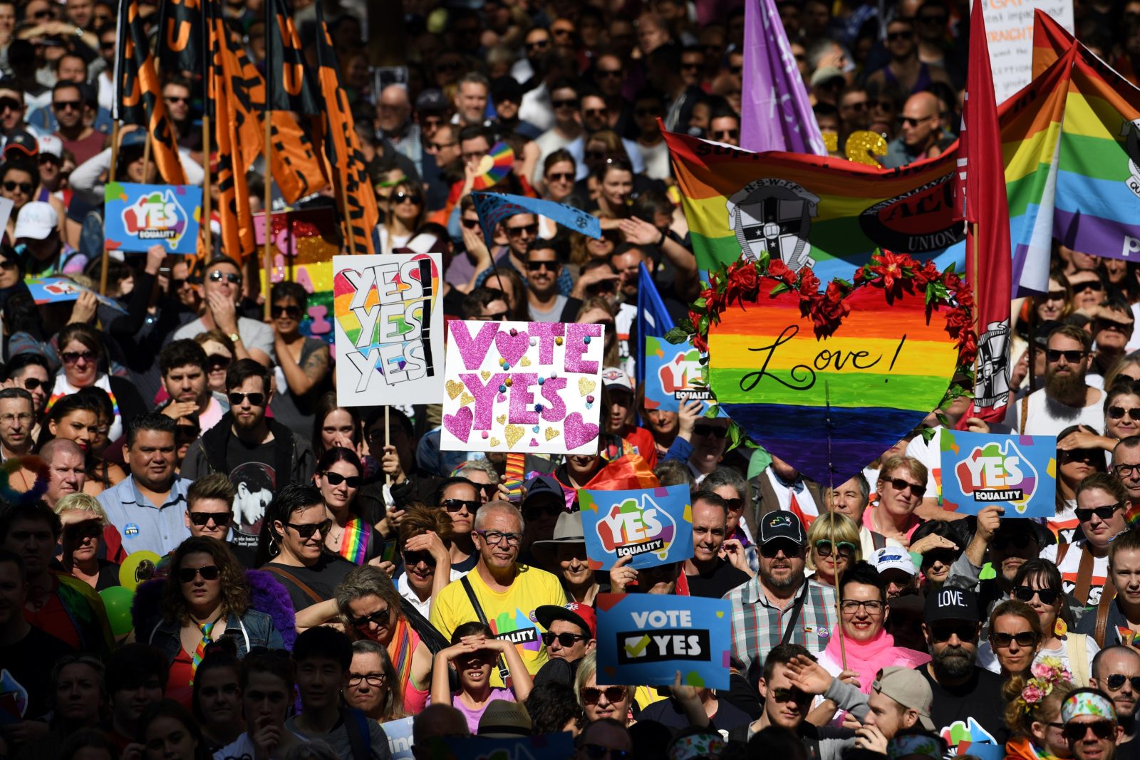 You could be fined over $12,000 during the same-sex marriage survey