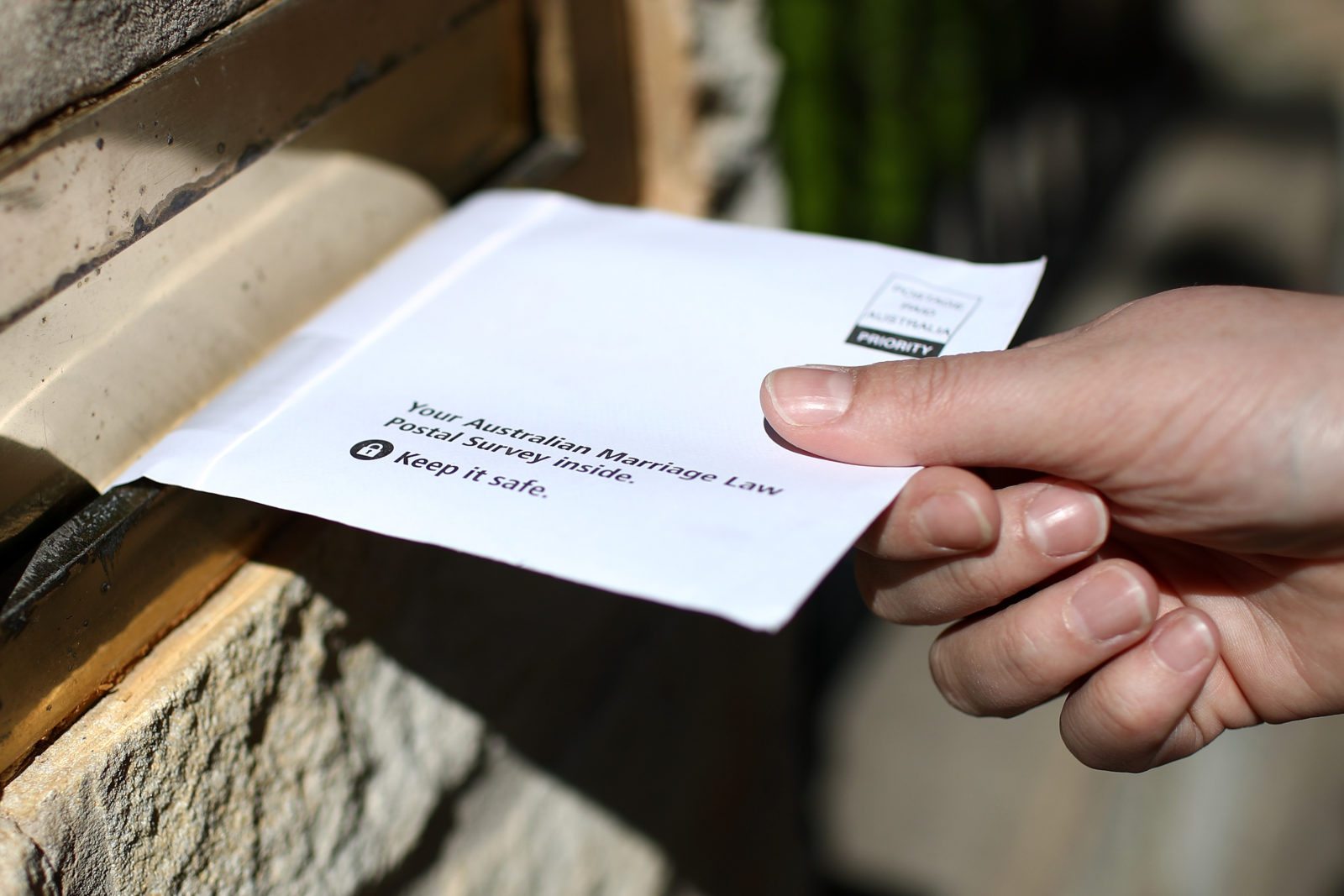 Is Australia's equal marriage vote secure? Mother finds dozens of abandoned postal votes in backyard