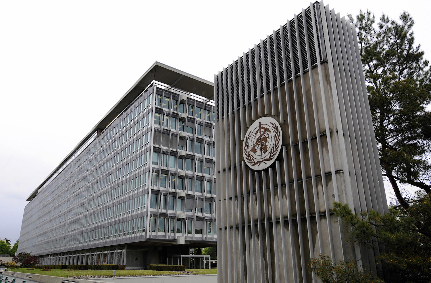 Scientists urge World Health Organisation to declassify trans identity as 'mental disorder'