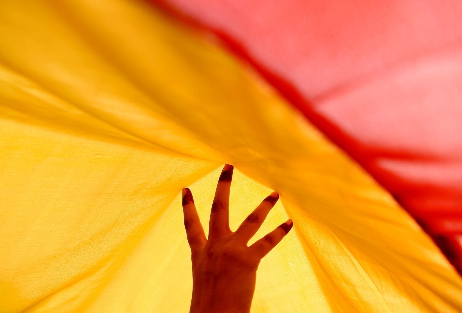 India: Trans demonstrators protest Transgender Persons Bill