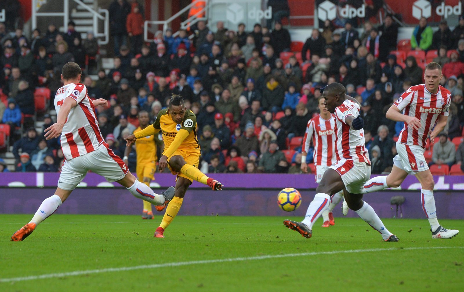 Police fail to ban Stoke fan who called Brighton football supporter a lesbian