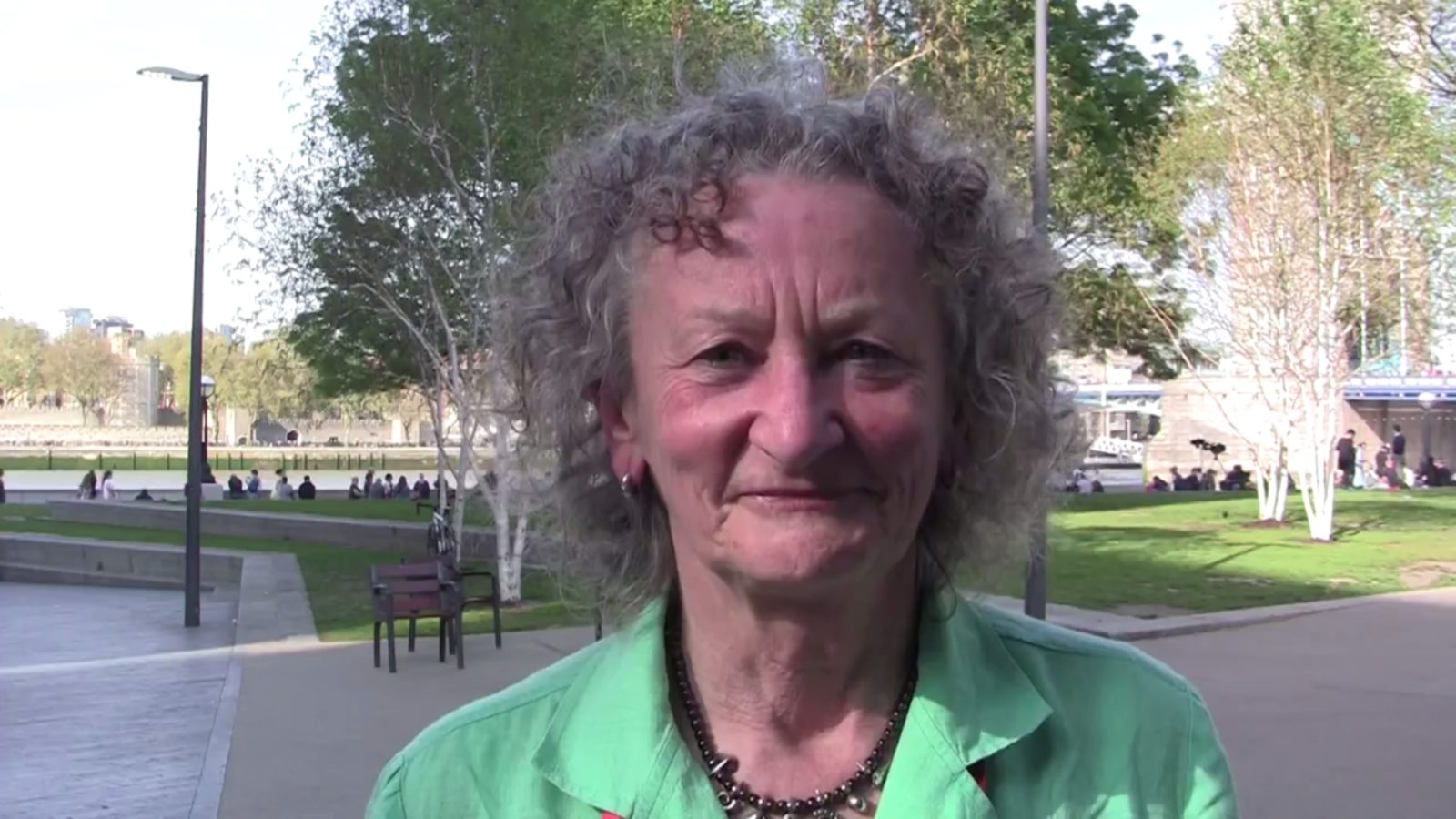 Green Party peer Jenny Jones 'accidentally' retweeted message comparing trans reforms to child rape