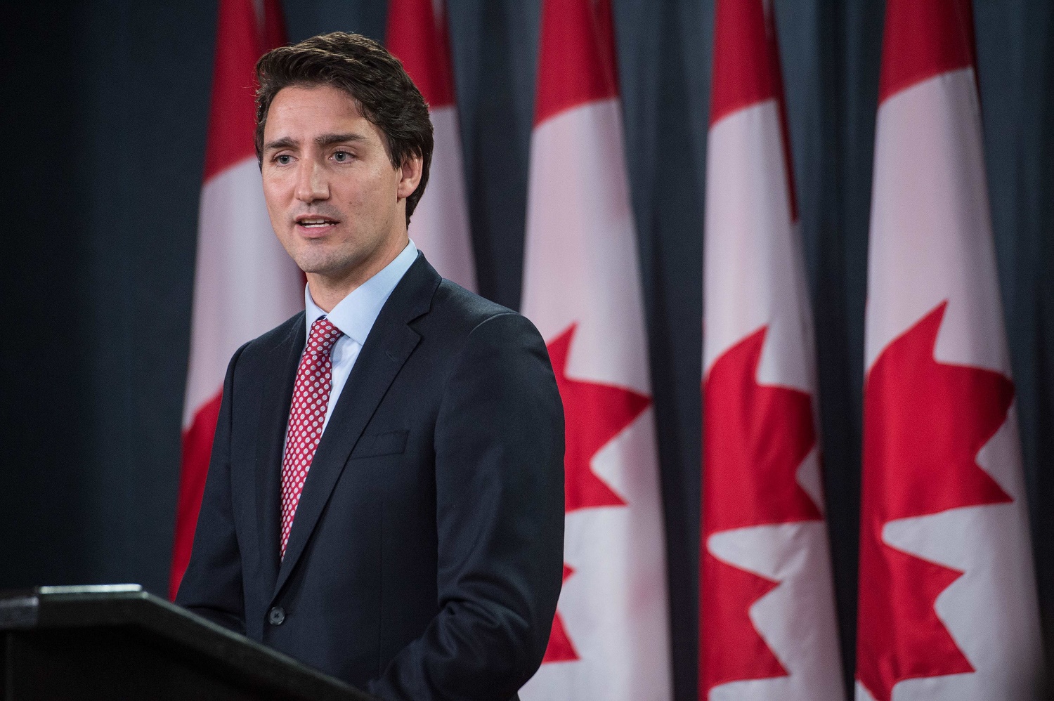 There is already gay erotica about Canada's new Prime Minister