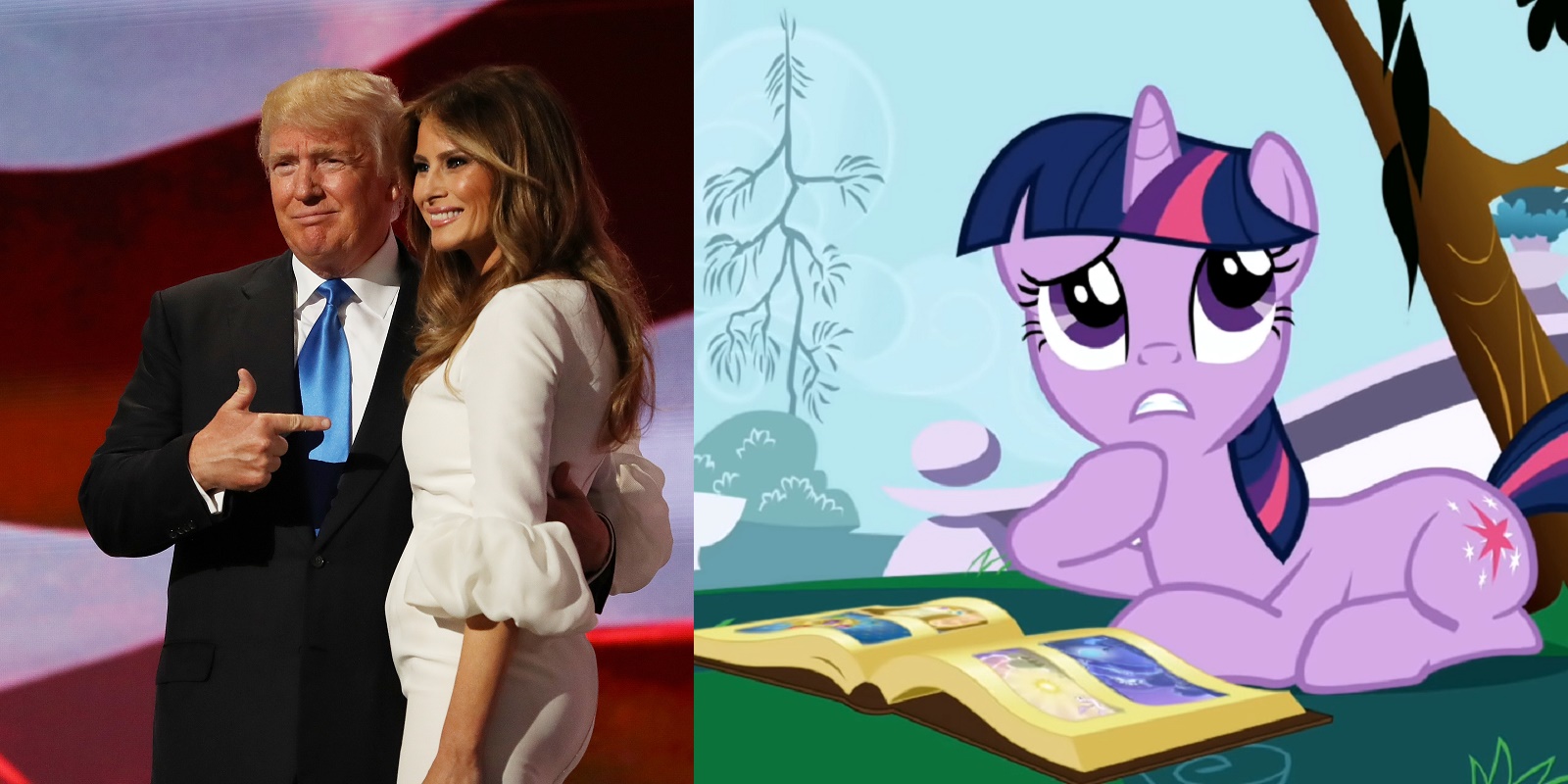 My Little Pony used to defend Trump's wife Melania from plagiarism claims