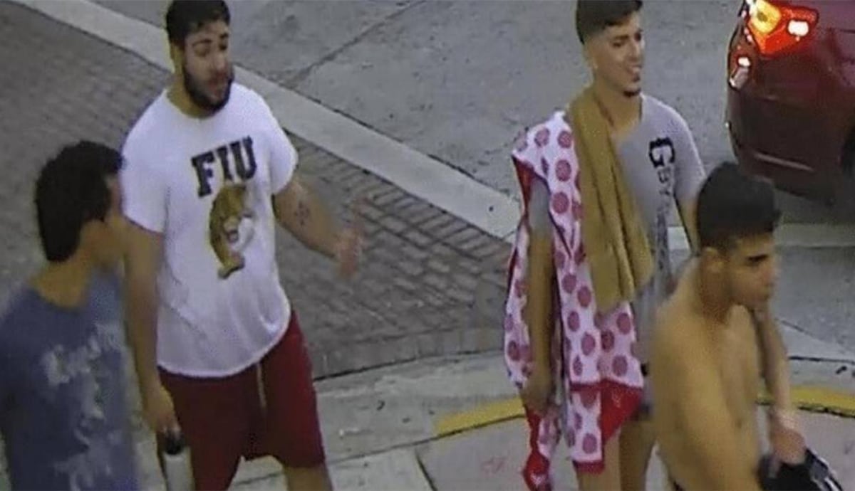 Man who attacked same-sex couple at Pride 'innocent because his dad is gay'