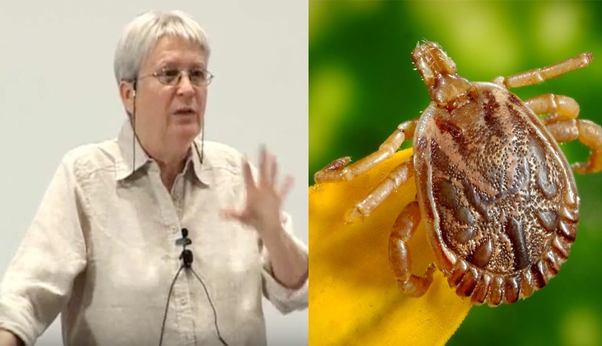 Anti-trans activists hit out at 'parasitic' trans people at event in Parliament