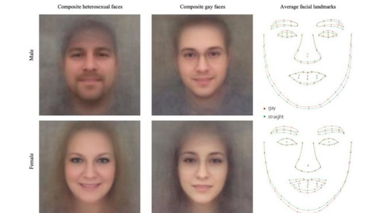 Study claiming AIs can tell sexuality based on face shape called into question