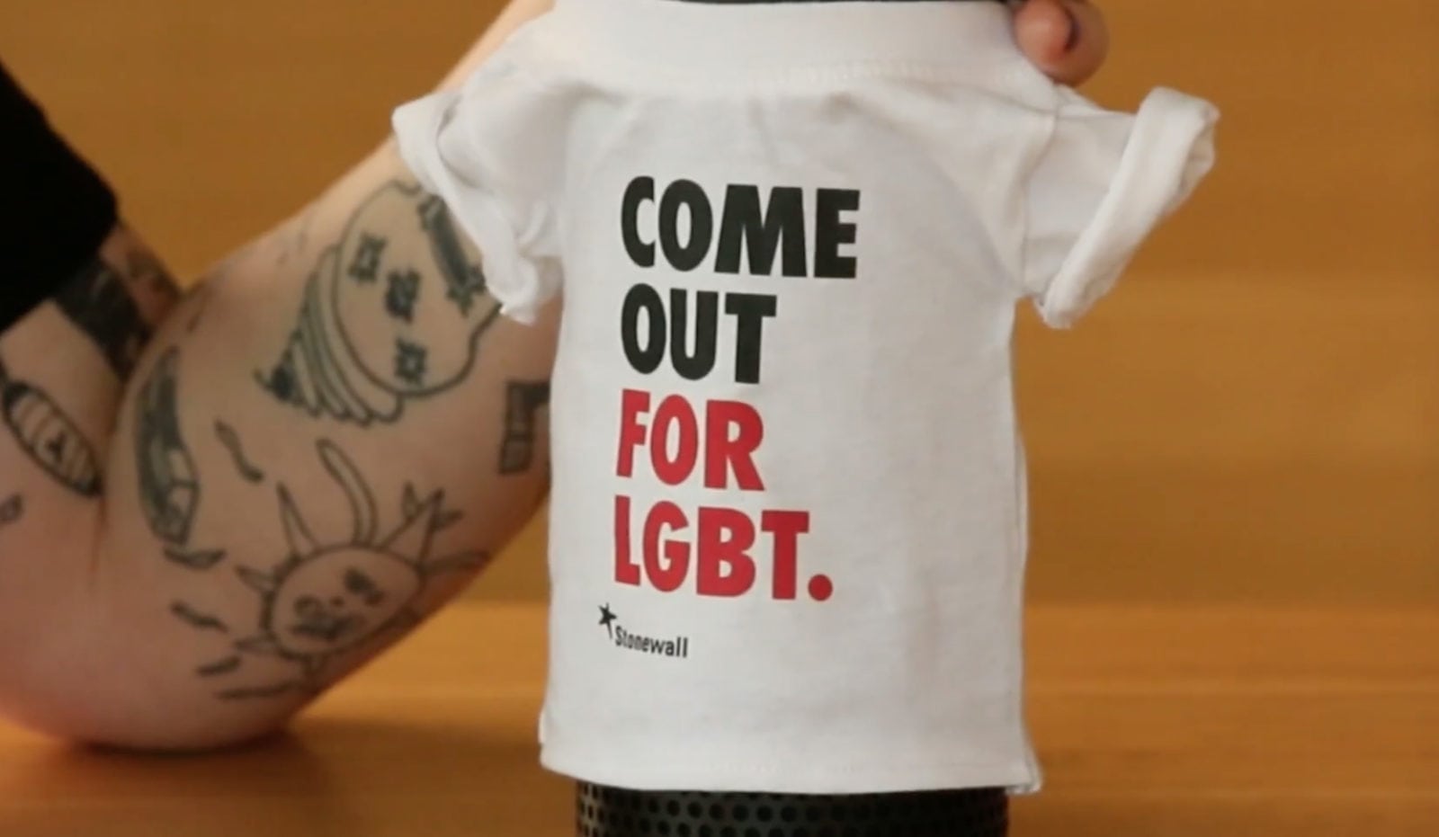 You can now ask Alexa 'Am I gay?' and other LGBT-related questions