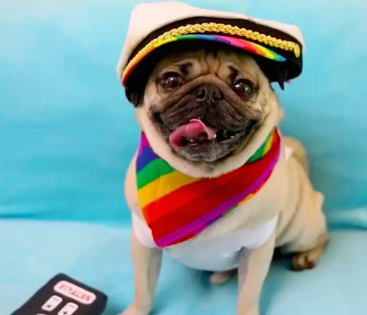 Queer Eye's Jonathan posts hilarious Doug the Pug video to celebrate release of season two