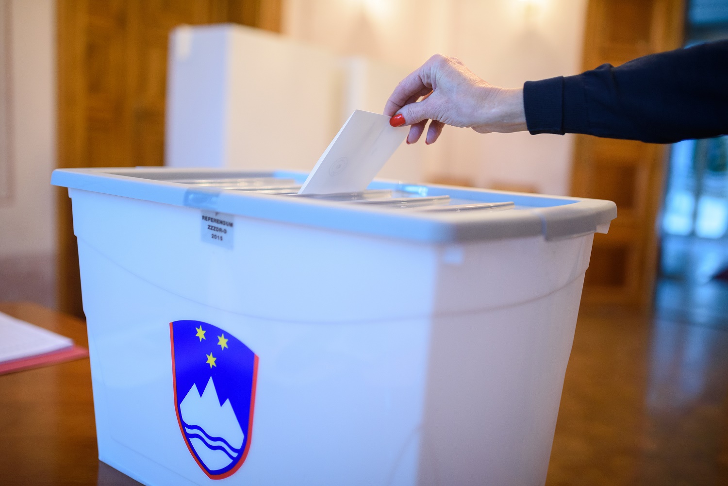 Slovenia heads to the polls in bid to block same-sex marriage