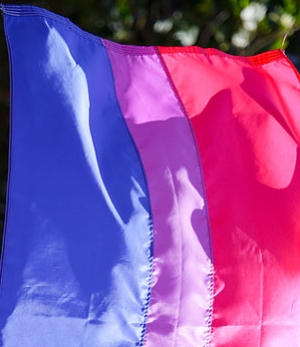 Bisexual pride flag