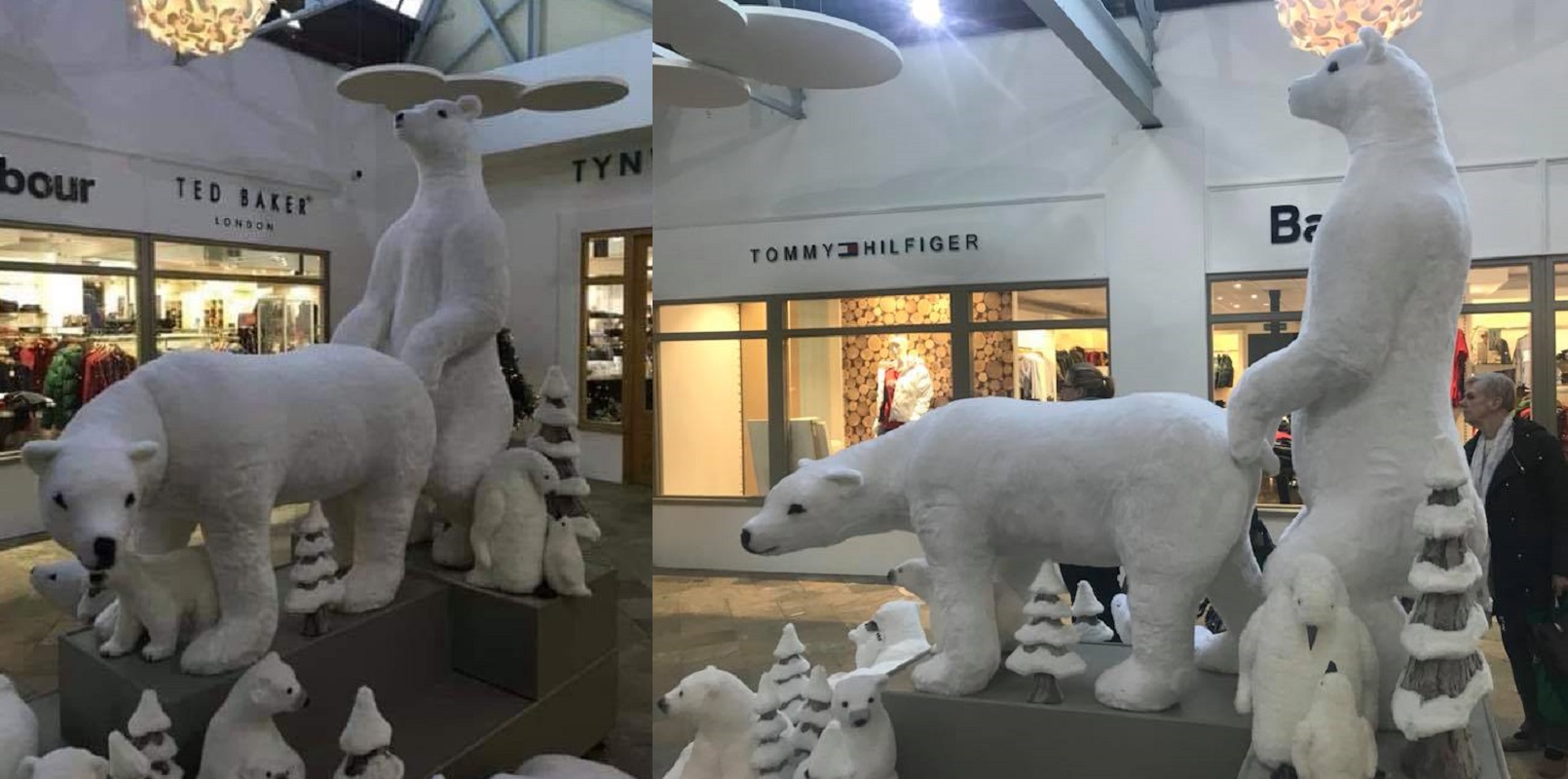 Shopping centre 'sorry' for polar bear anal sex Christmas display
