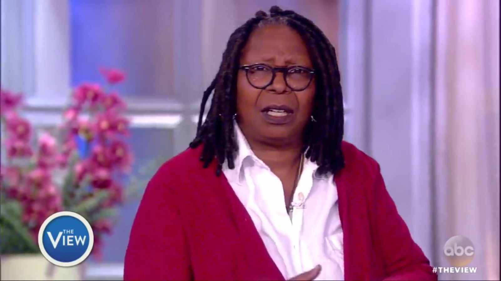 Whoopi Goldberg compares Mike Pence to a Nazi in gay rights row