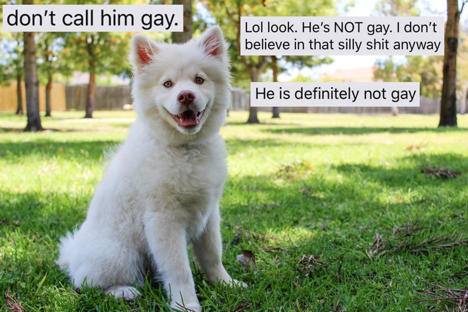 This definitely-not-homophobic guy freaked out at the idea his dog could be gay and went viral