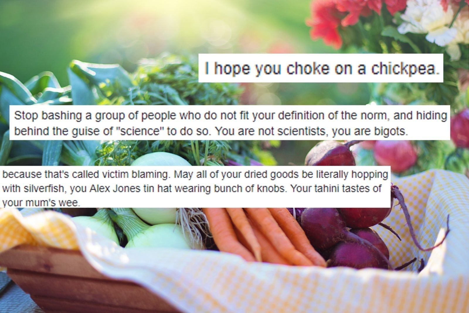 Vegan group says 'chemical pollutants' make people gay and transgender - and gets destroyed