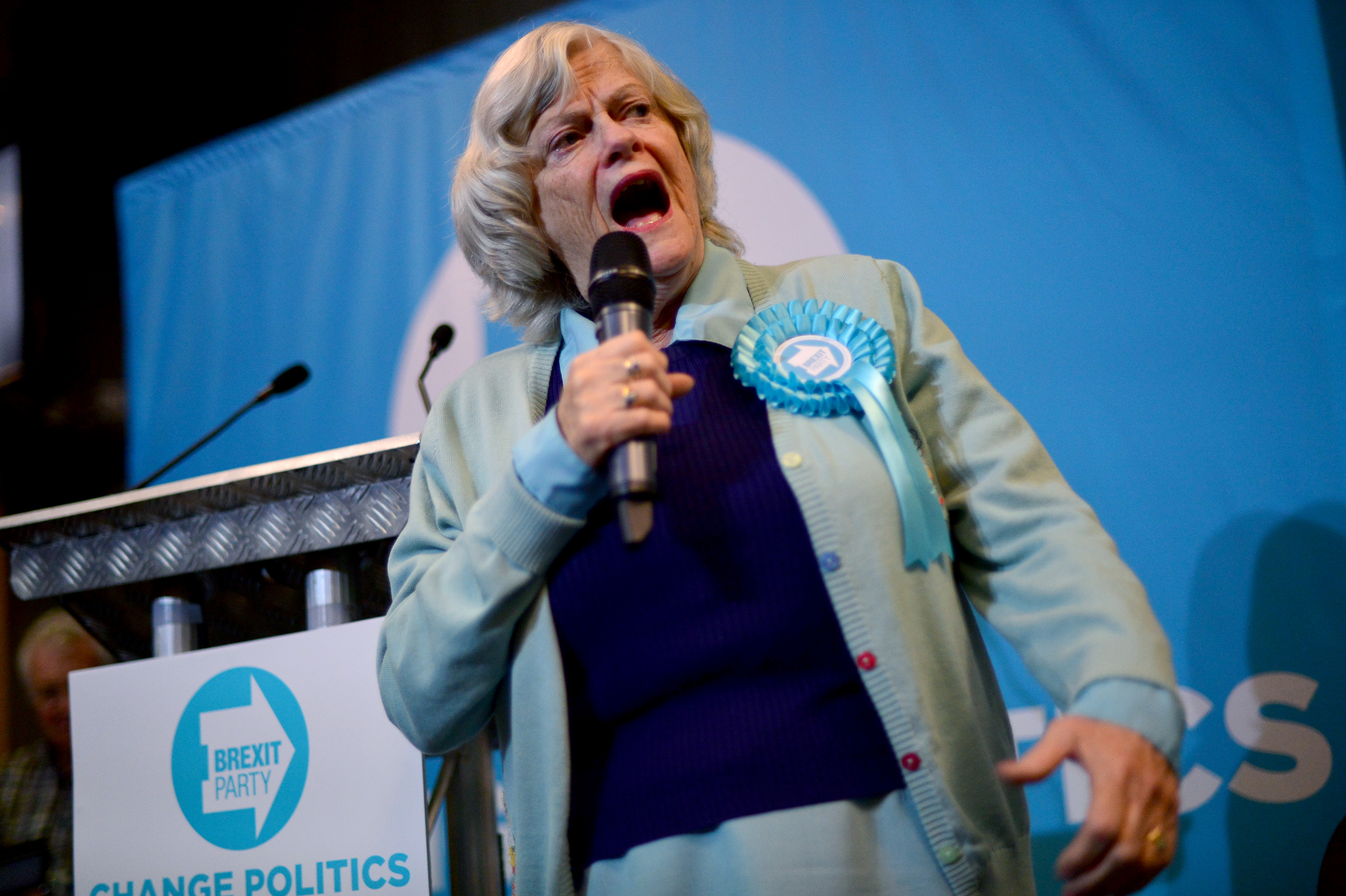 Ann Widdecombe: Anti-LGBT Brexit Party politician wins seat in European elections