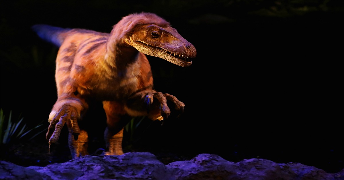 Woman needs medical help after getting toy dinosaur stuck in her vagina