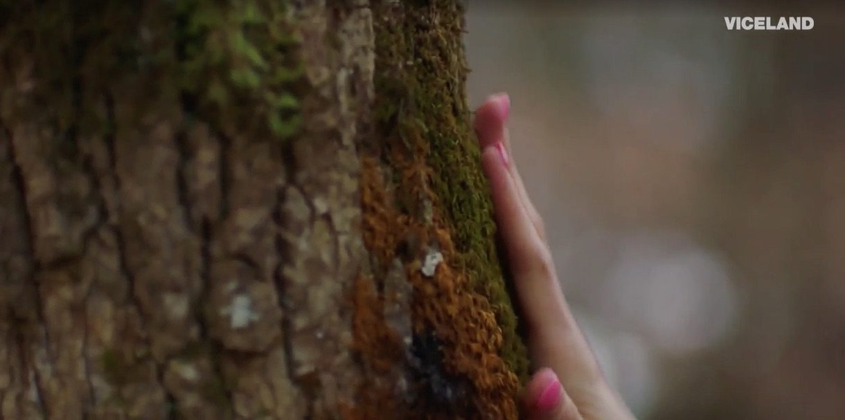 What is an ecosexual? This NSFW doc explores being a 'lover' of nature