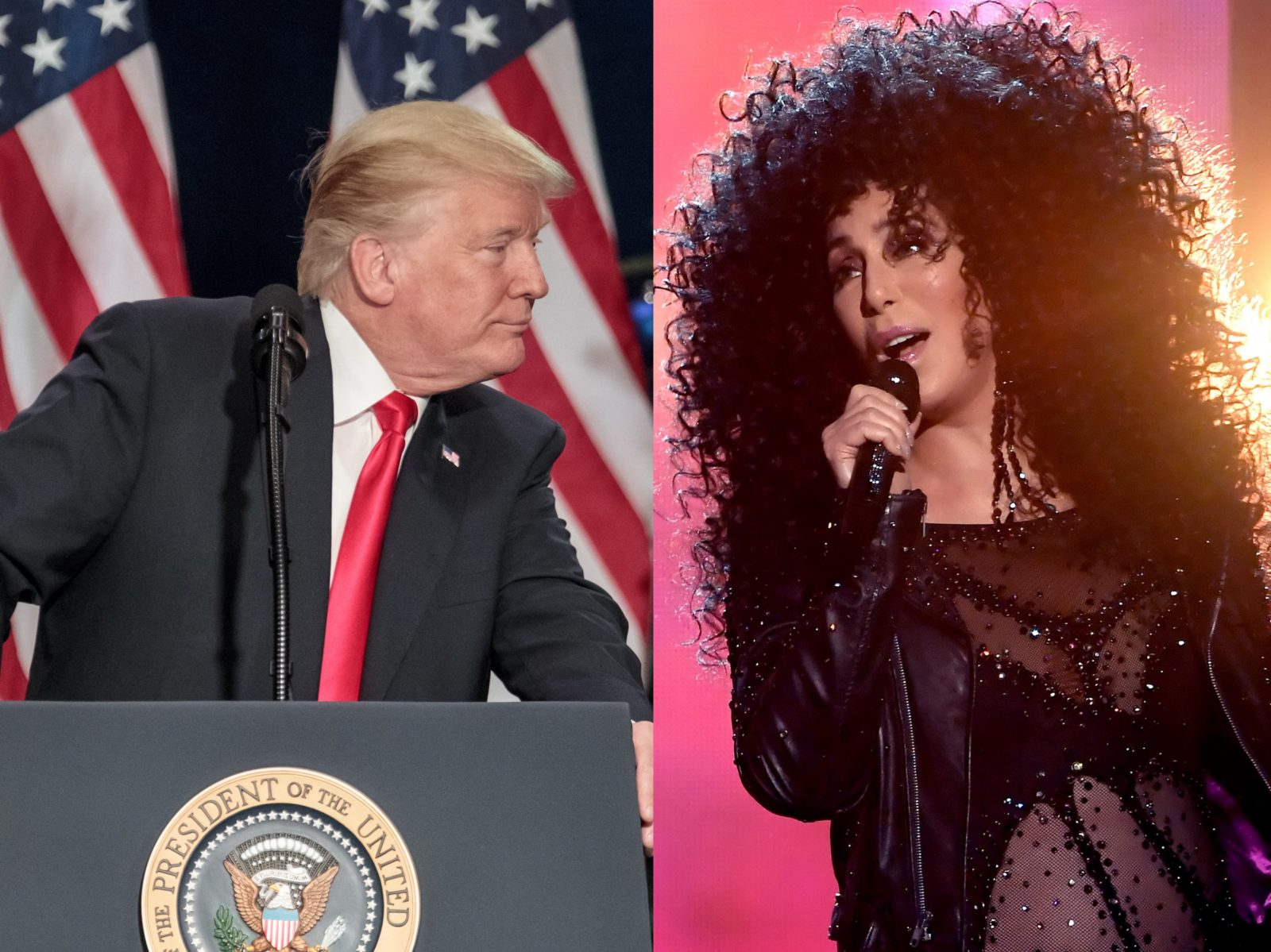 Cher has brutally torn apart 'demented racist' Donald Trump - and it's amazing