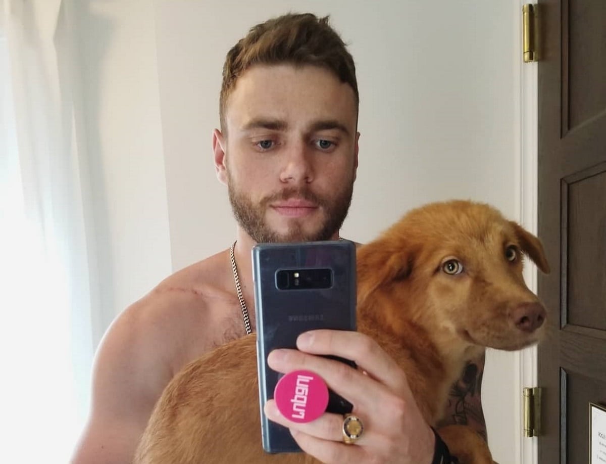 Gay Olympian Gus Kenworthy introduces puppy rescued from South Korean meat farm