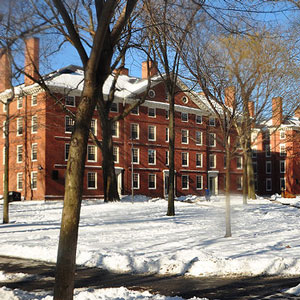 Harvard Christian Group suspended for asking bi leader to resign