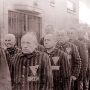On Holocaust Memorial Day, remember the lessons we still need to learn from the Nazi persecution of gay people
