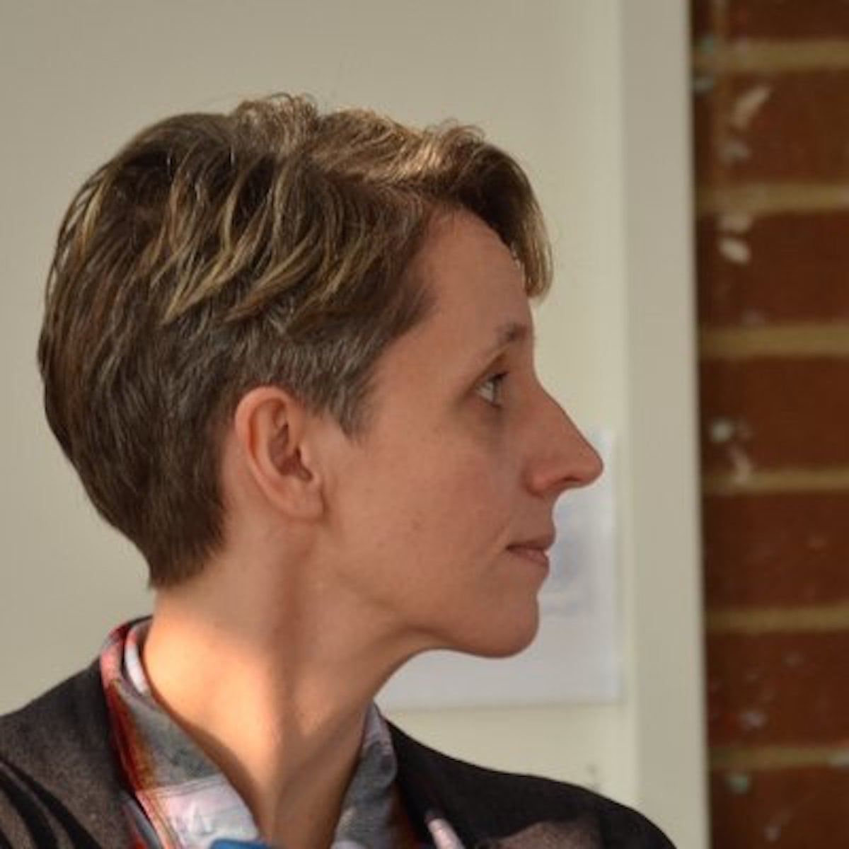 University lecturer criticised after declaring 'trans women are still males with male genitalia'