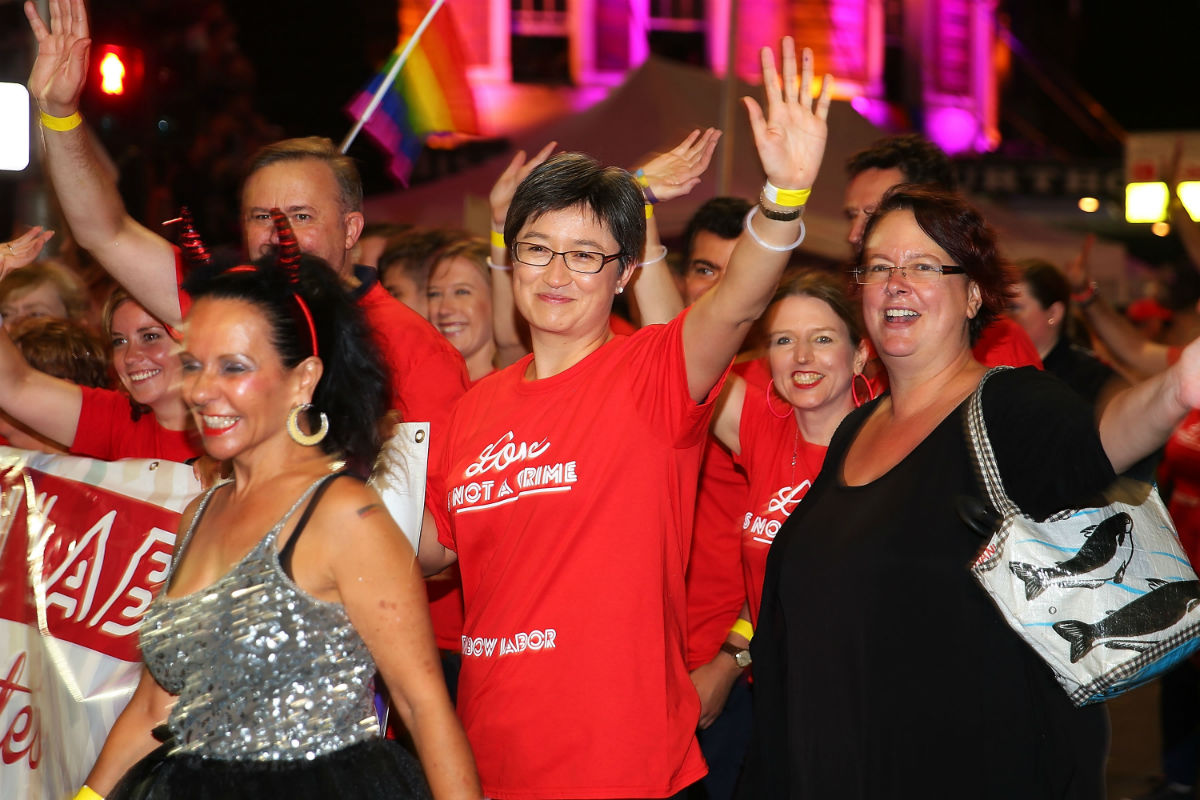 Public vote on same-sex marriage will license hate speech, warns senator