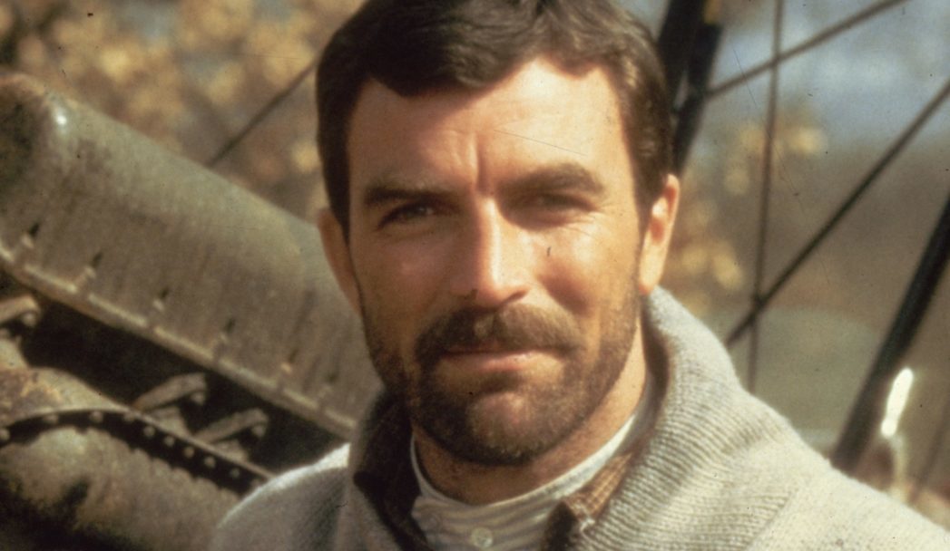 What is a bear? The gay tribe for big, hairy, hunky men