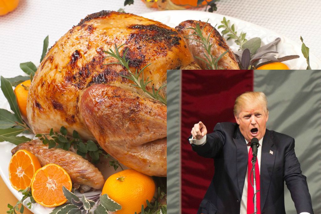 15 Thanksgiving turkeys that look like Donald Trump