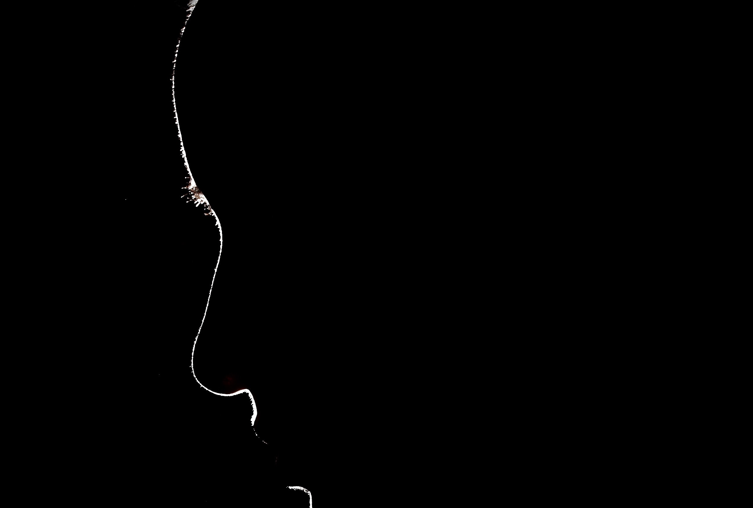 A man asked his young gay friend for a cigarette. Then he struck, dragged him into the bushes and brutally raped him