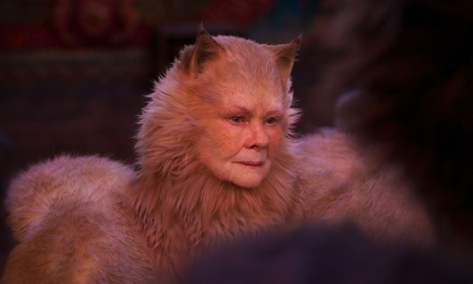 Judi Dench seems to suggest her Cats character is transgender in bizarre interview