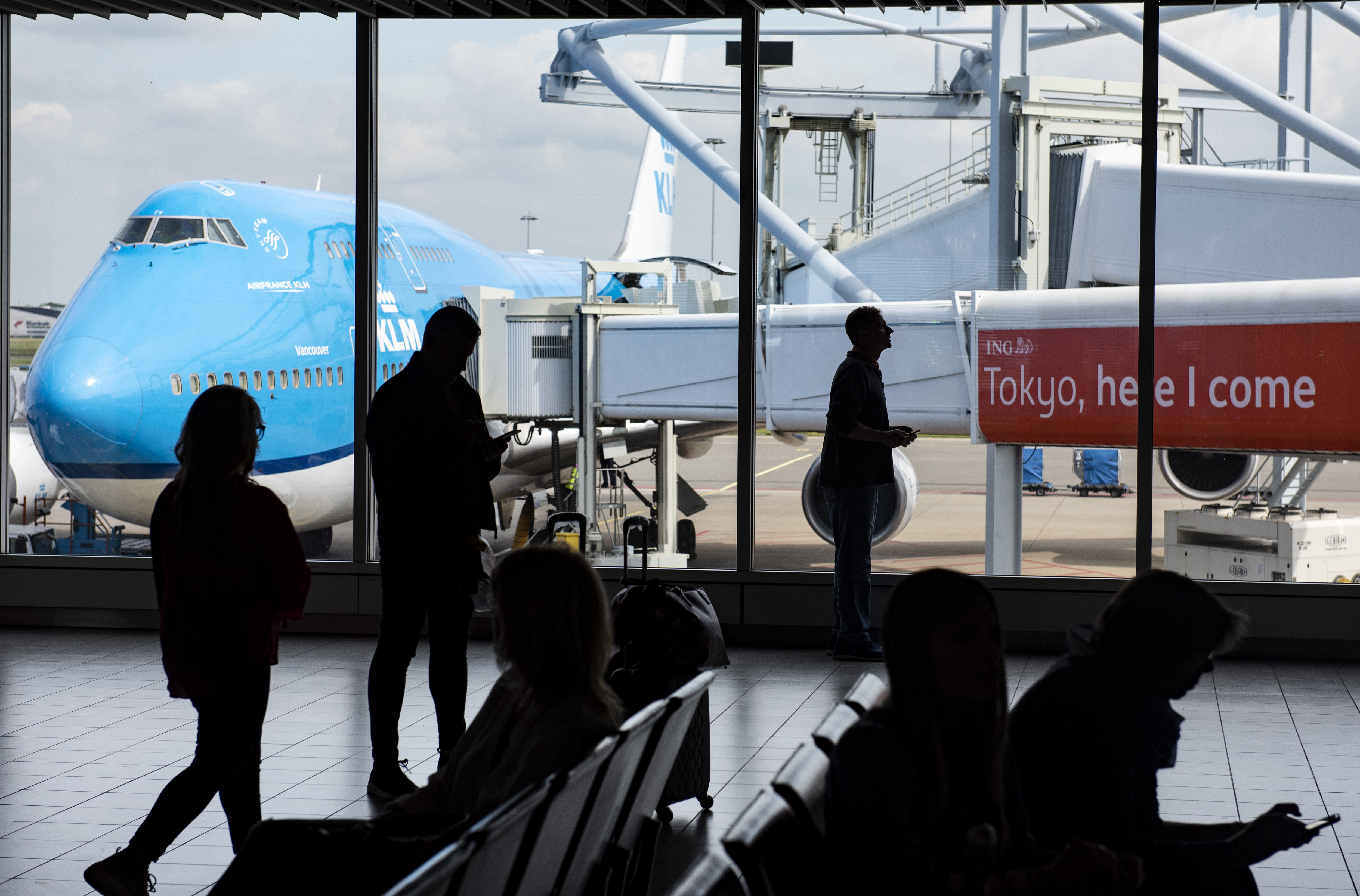 Airline investigates email suggesting same-sex couples could face in-flight intervention